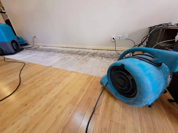 Professional Burst Pipe Water Damage technician working in Delmar, DE